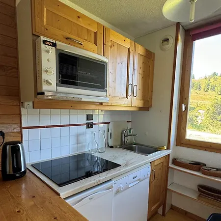 Apartment Fonctionnel Au Pied Des Pistes Avec Terrasse - Animaux Admis - Fr-1-181-2400 *